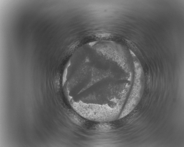 X0000058760668200510281919