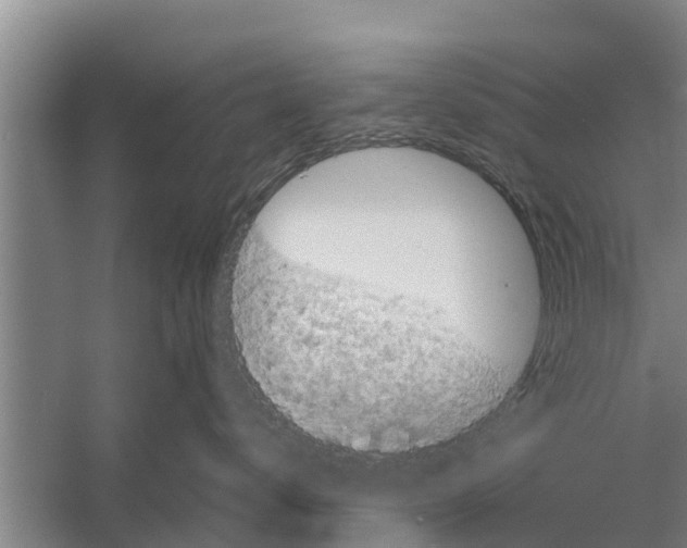 X0000058760672200510281919