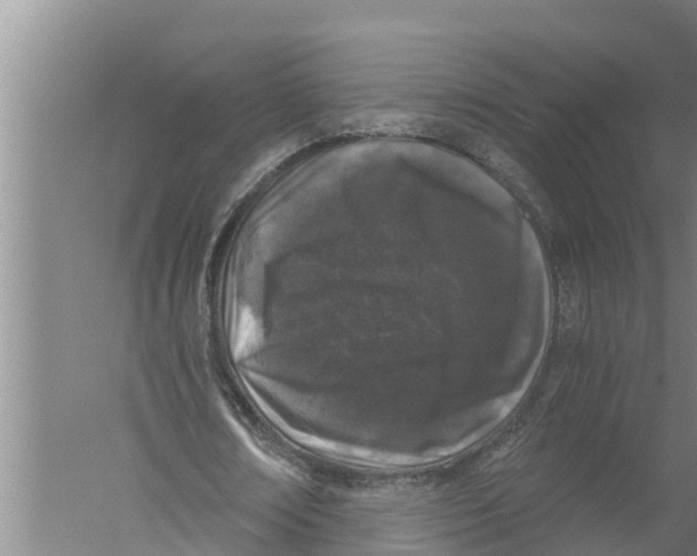 X0000058760674200510281919