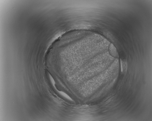 X0000058760675200510281919