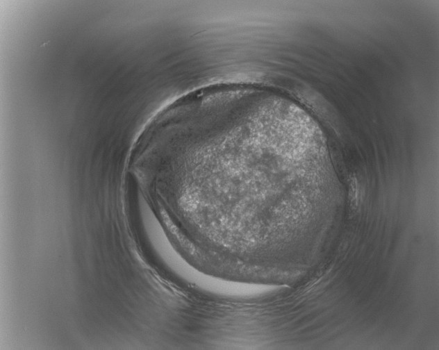 X0000058760676200510281919