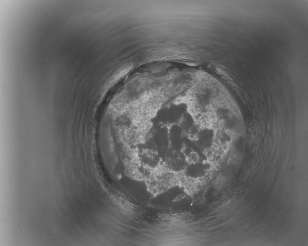 X0000058760679200510281918