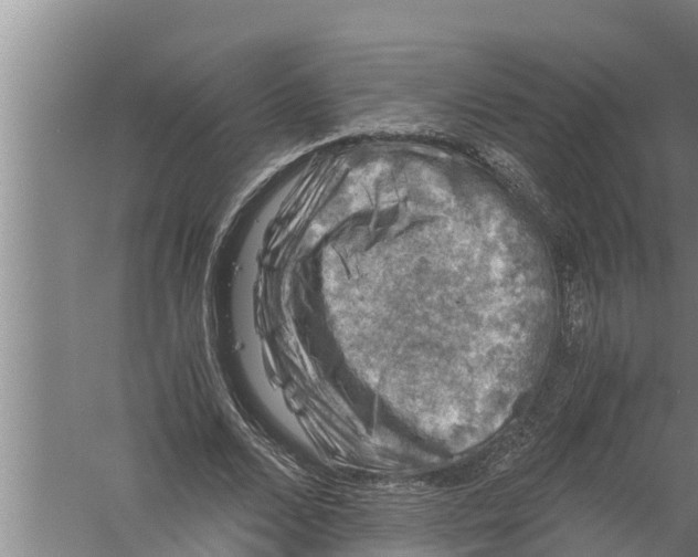 X0000058760680200510281918