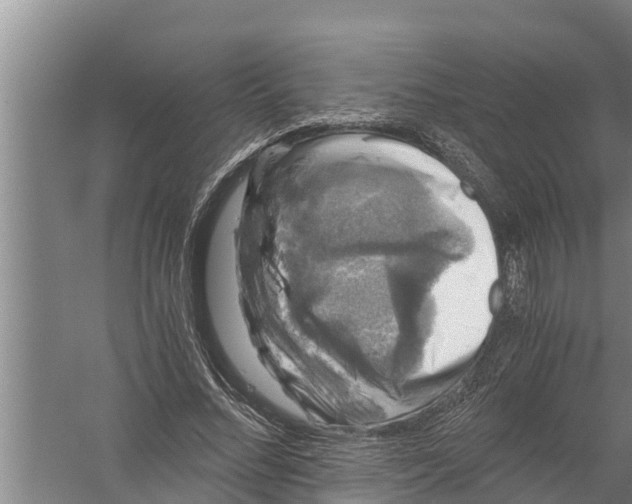 X0000058760684200510281918