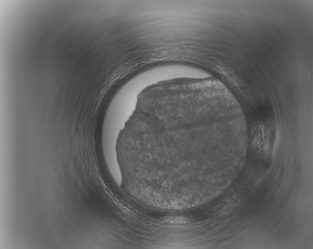 X0000058760685200510281918