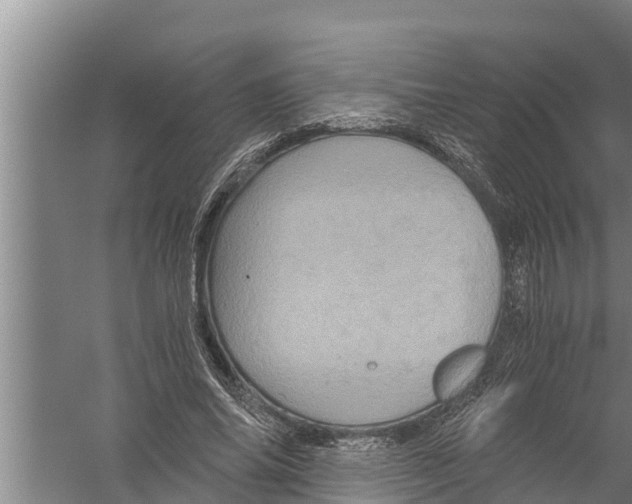 X0000058760686200510281918