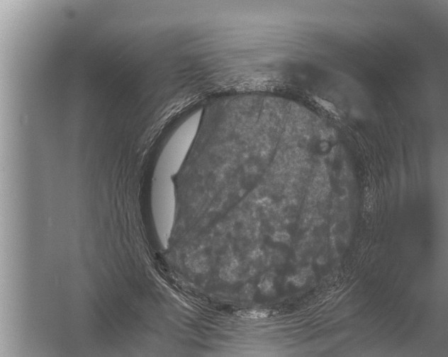 X0000058760687200510281918