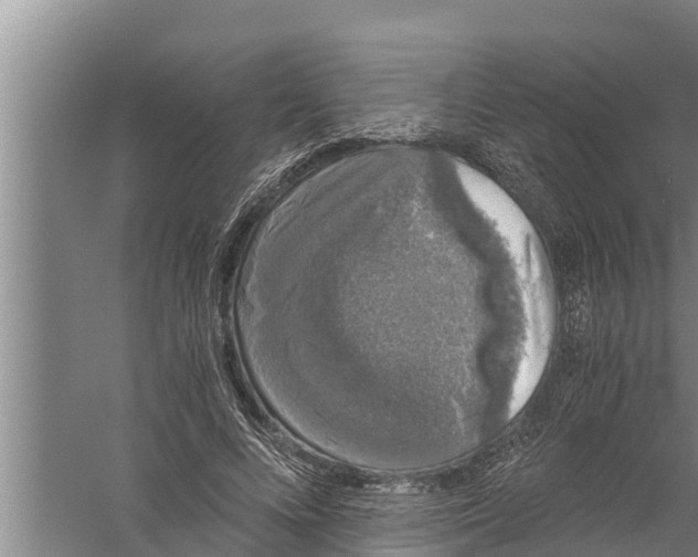 X0000058760688200510281918