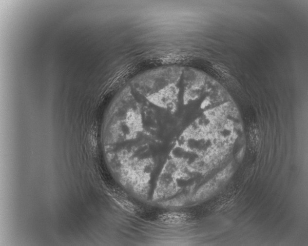 X0000058760691200510281918