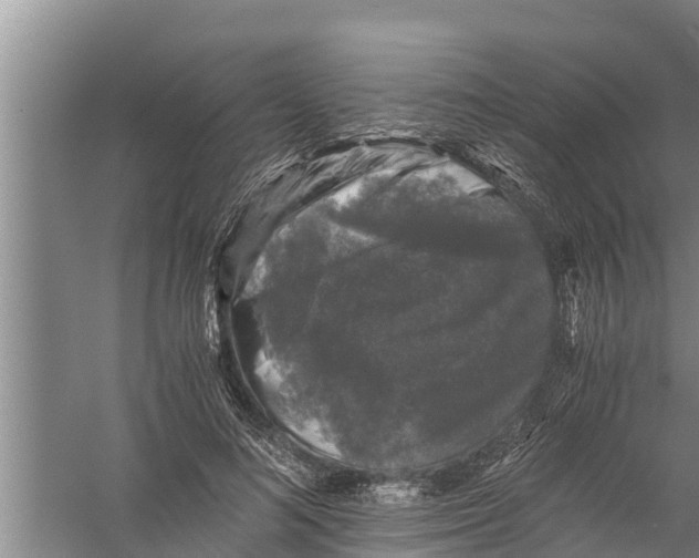 X0000058760692200510281918