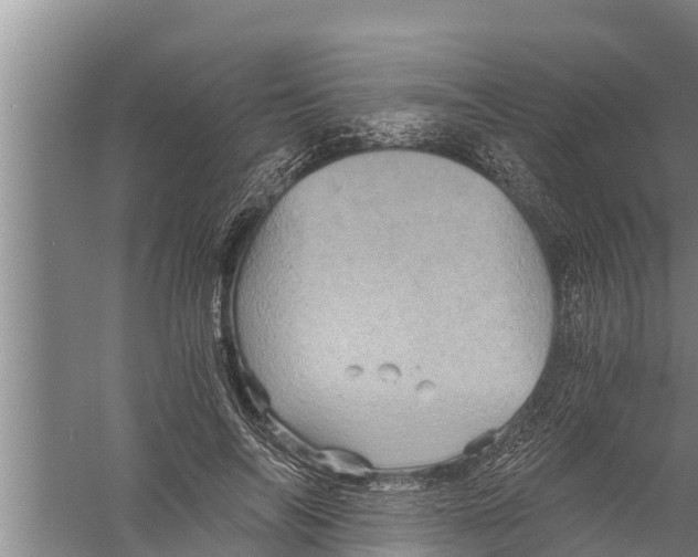 X0000058760694200510281918