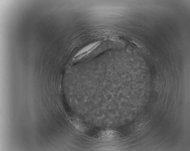 X0000058760695200510281918