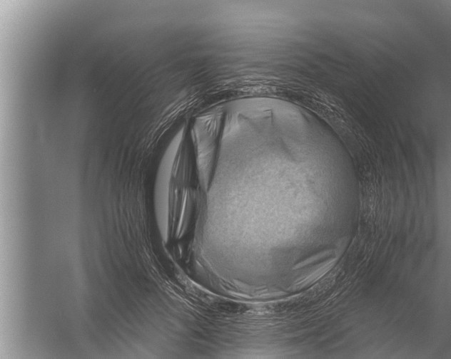 X0000058760696200510281918