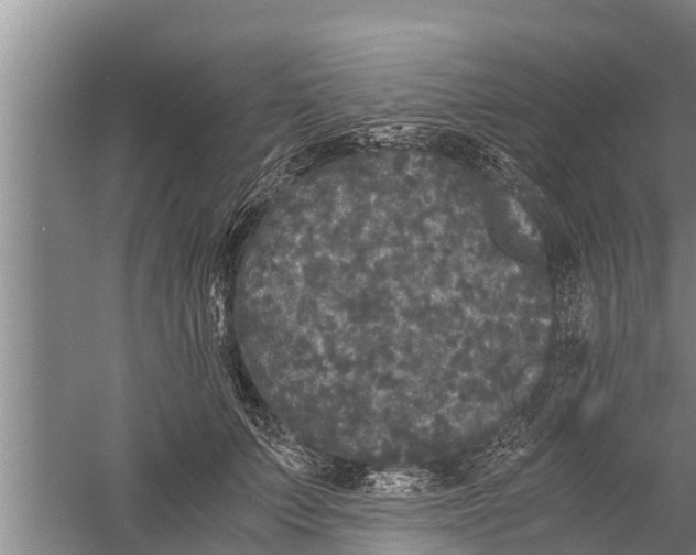 X0000058760703200510281918