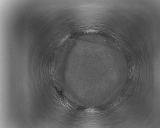 X0000058760704200510281918