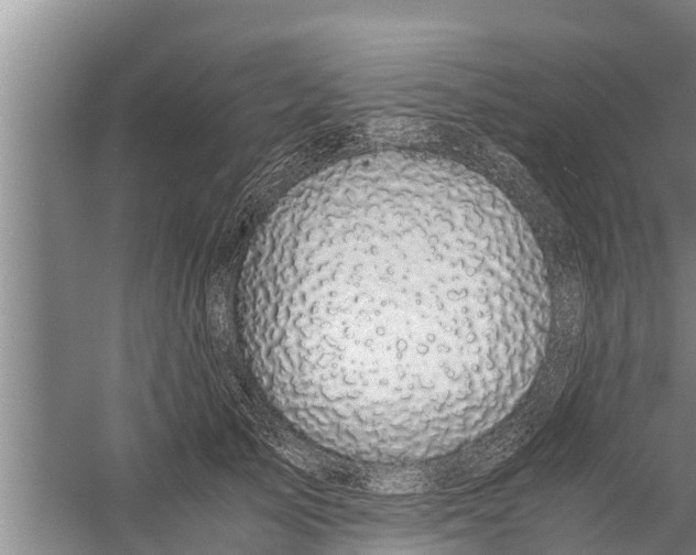 X0000058760705200510281918