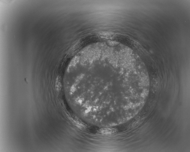 X0000058760707200510281918