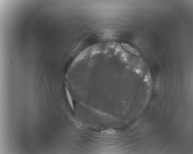 X0000058760715200510281918