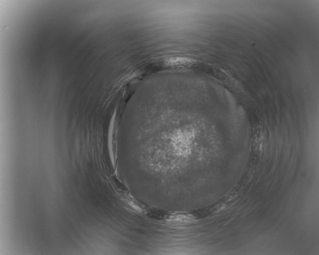 X0000058760716200510281918