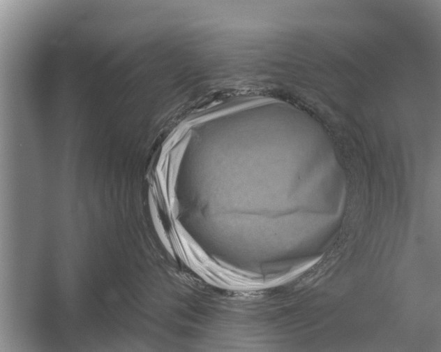 X0000058760720200510281918