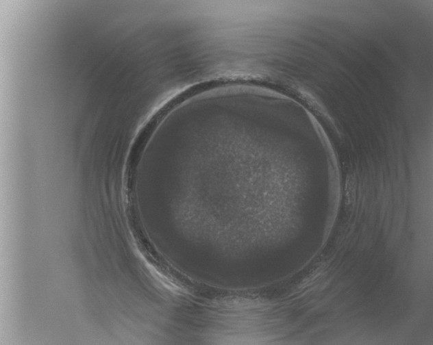 X0000058760722200510281917