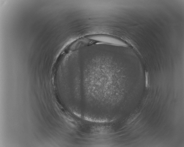 X0000058760723200510281917