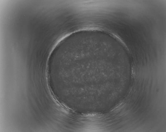 X0000058760724200510281917