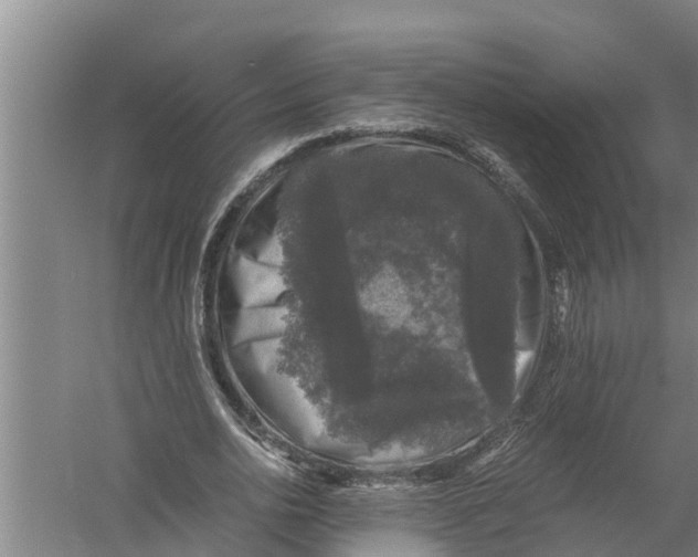 X0000058760726200510281917