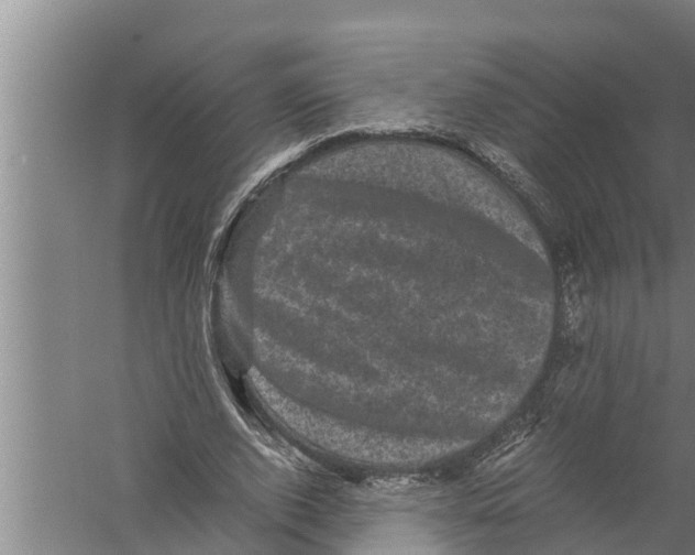 X0000058760728200510281917