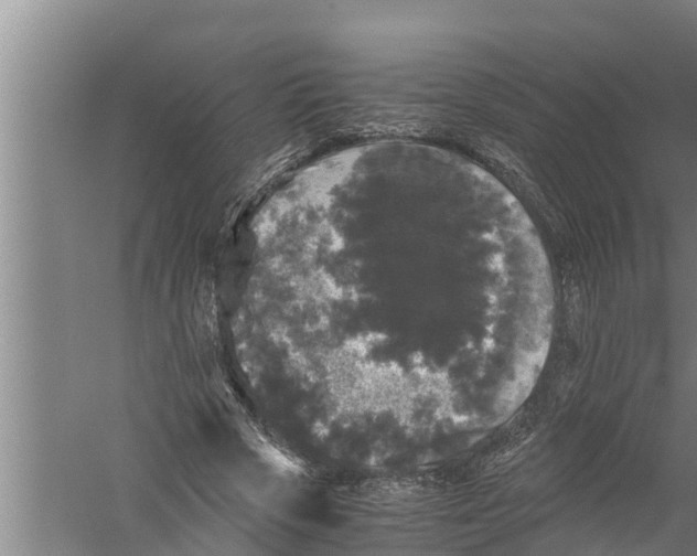 X0000058760729200510281917