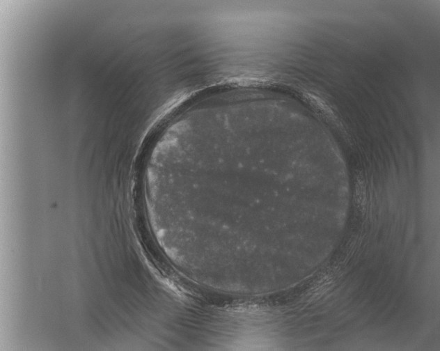 X0000058760730200510281917