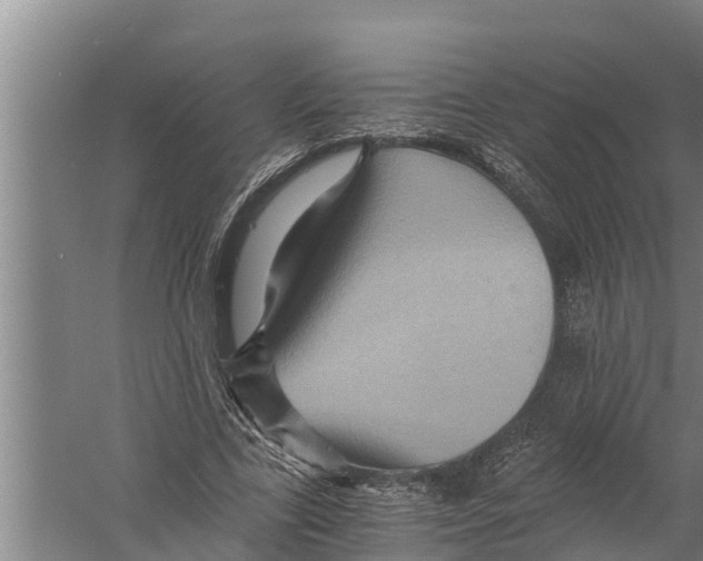 X0000058760731200510281917