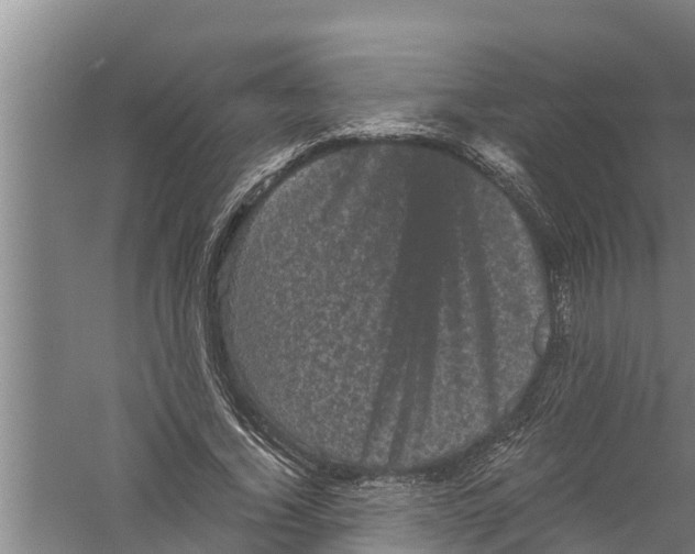 X0000058760732200510281917