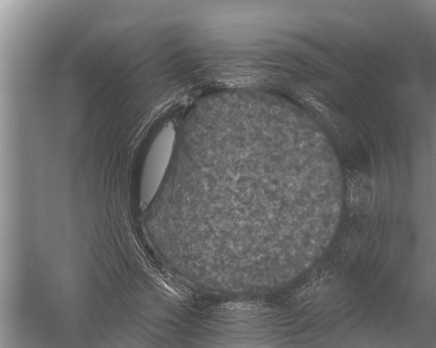 X0000058760733200510281917