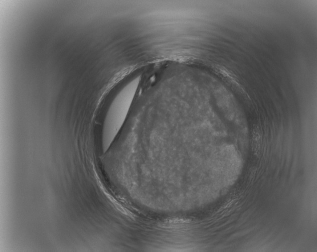 X0000058760734200510281917