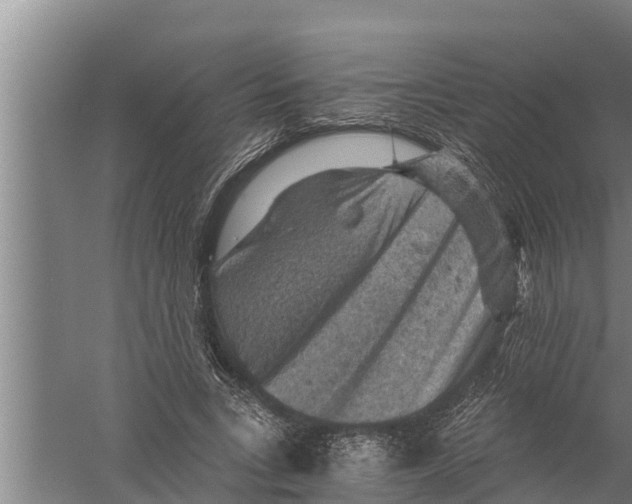 X0000058760735200510281917