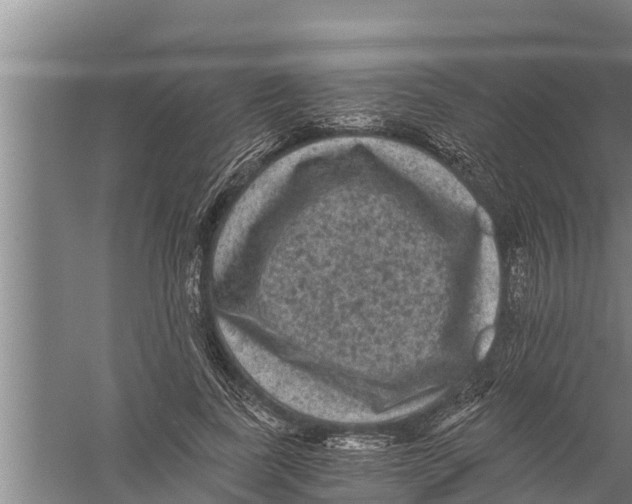 X0000058760739200510281917