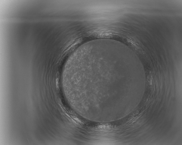 X0000058760744200510281917