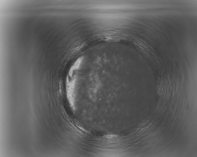 X0000058760748200510281917