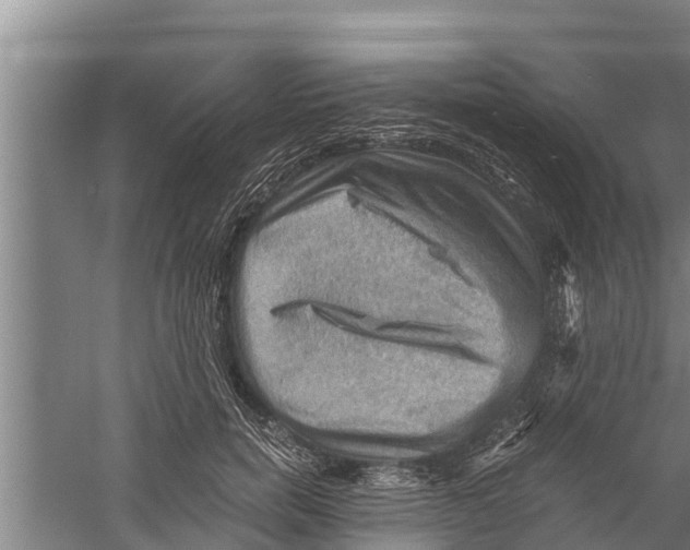 X0000058760750200510281917