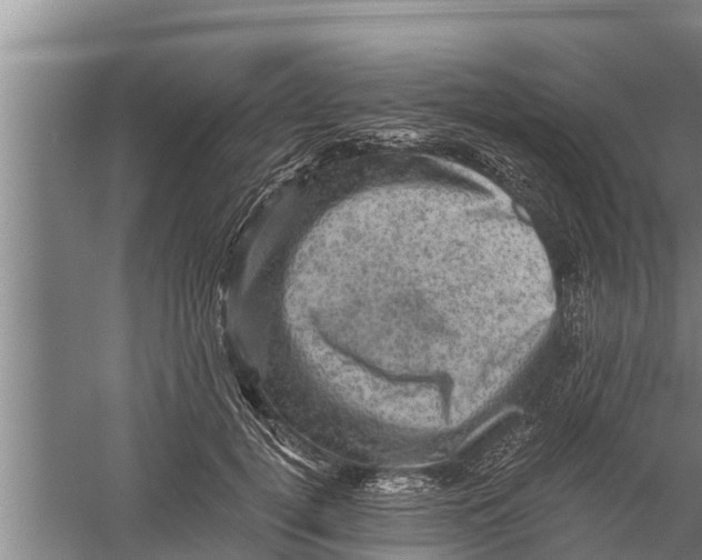 X0000058760752200510281917