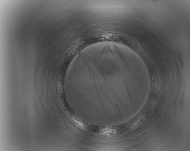 X0000058760754200510281918