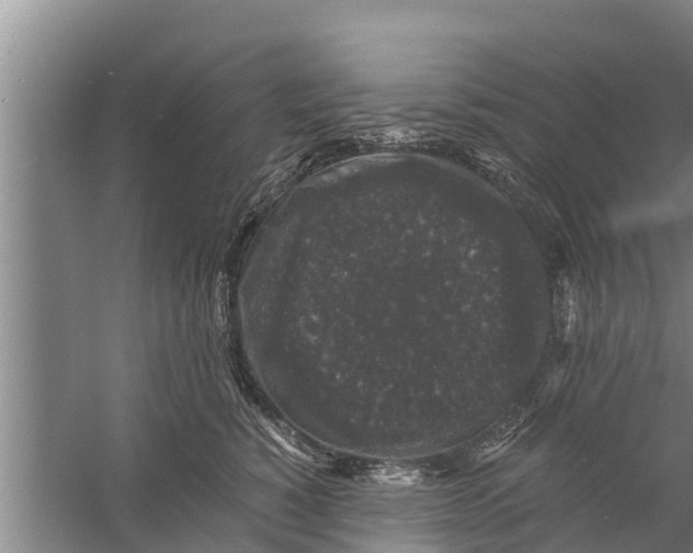 X0000058760760200510281918