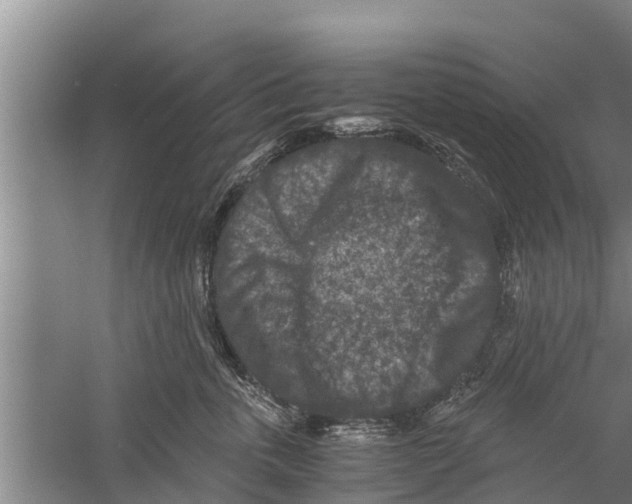 X0000058760763200510281918