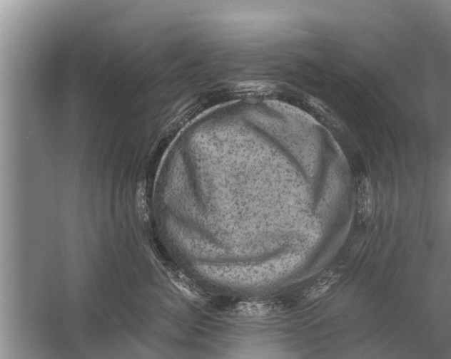 X0000058760764200510281918