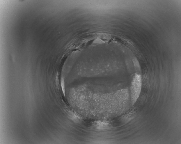 X0000058760765200510281918