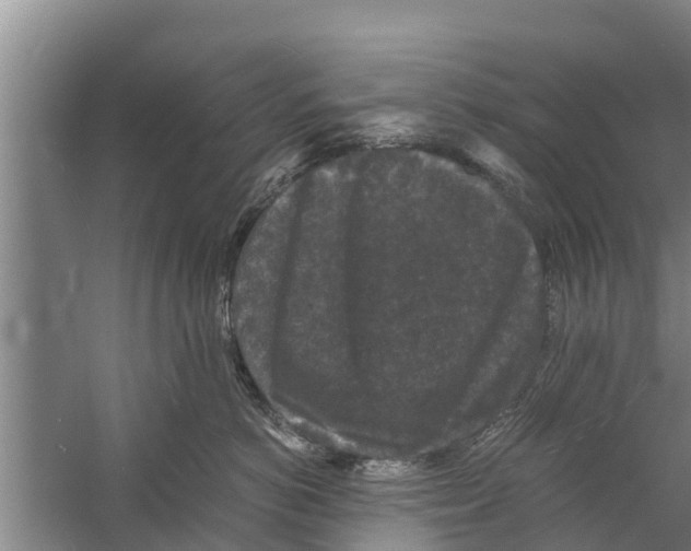 X0000058760766200510281918