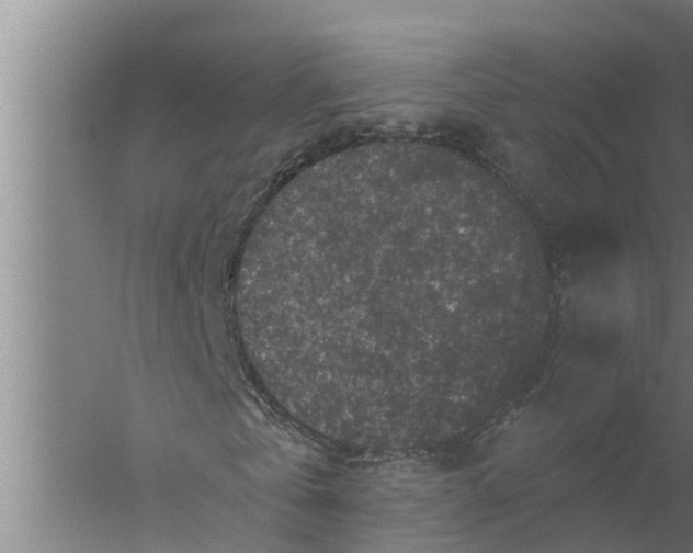 X0000058760769200510281917