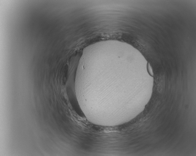 X0000058760770200510281917