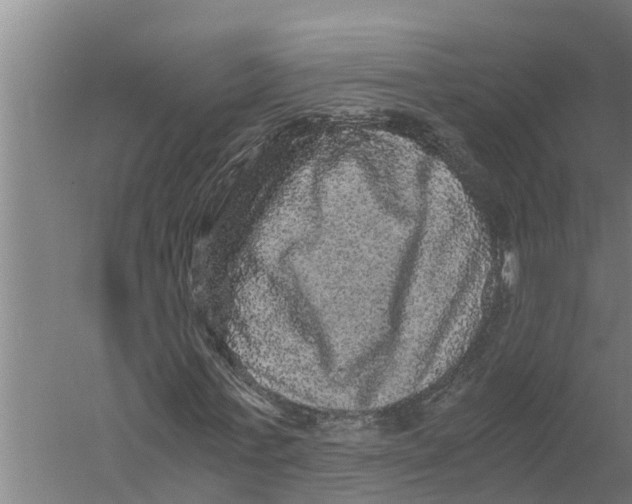 X0000058760771200510281917